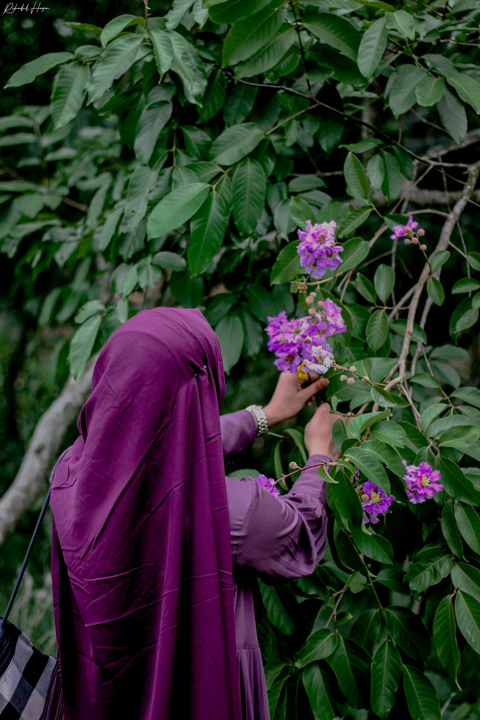 Haute Hijab Premium Chiffon Hijab