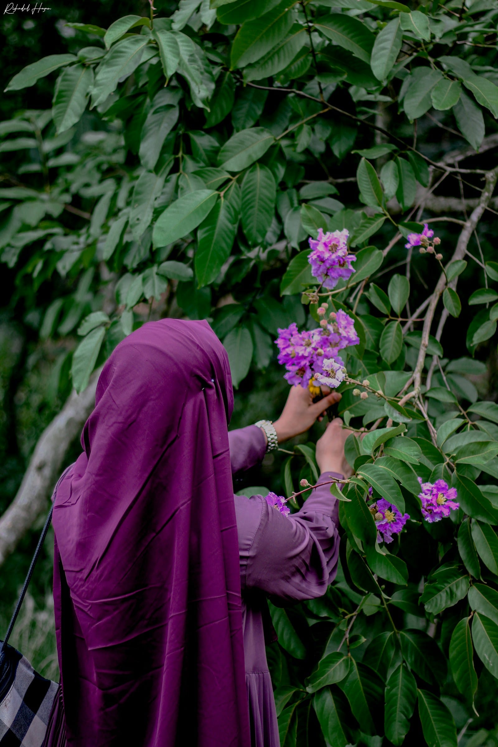 Haute Hijab Premium Chiffon Hijab